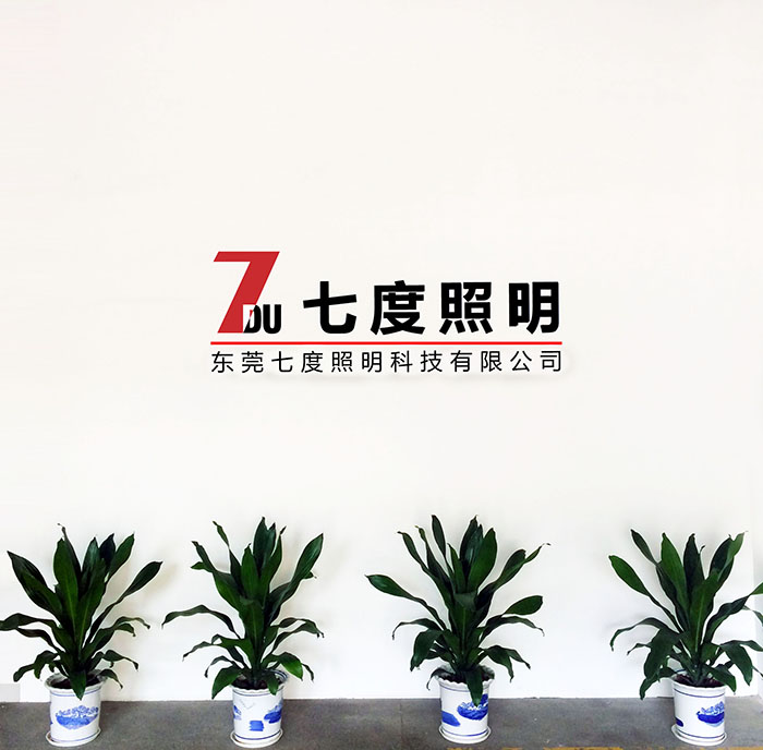 东莞抖阴污视频照明前台LOGO